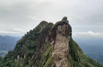 Study Guide in Kottayam