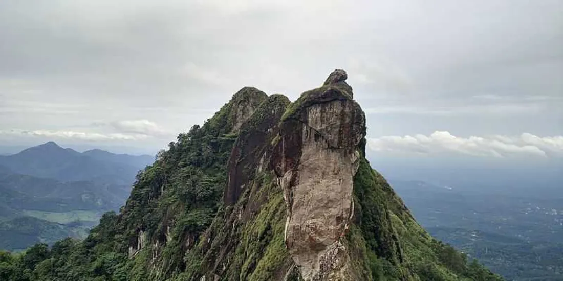 Study Guide in Kottayam