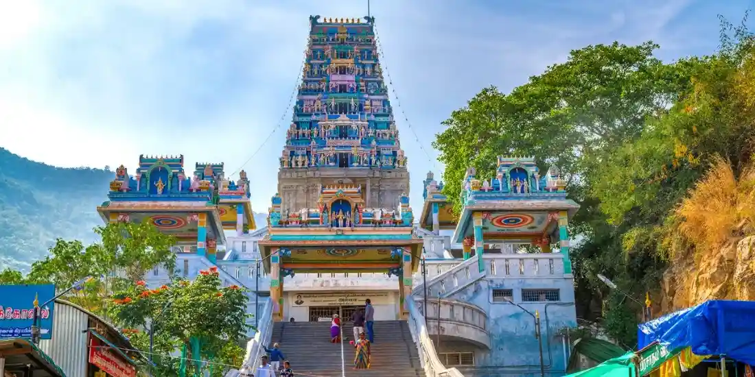 Study Guide in Chennai