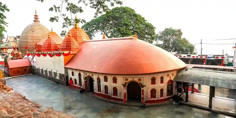 Study Guide in Guwahati