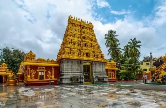 Study Guide in Mangalore