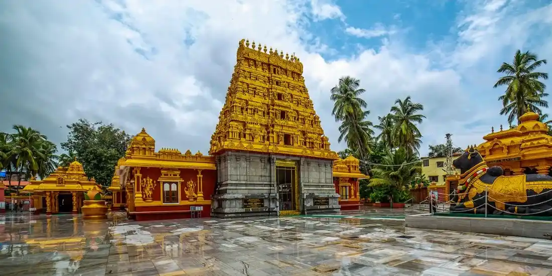 Study Guide in Mangalore